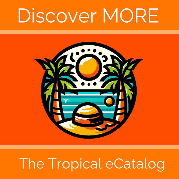 Discover More – Advertising Placement