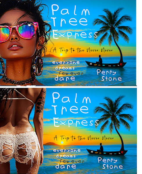 Palm Tree Express <br> A Trip to the Never Never <br> Personalized eBook